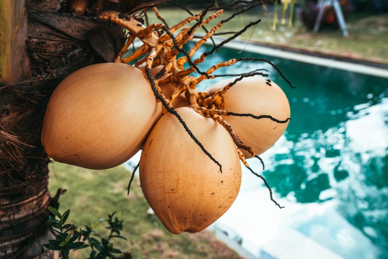 Bali Mynah Villas Resort Jimbaran Eksteriør billede